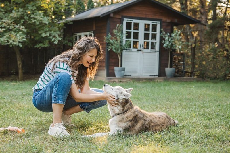 Multi-Pet Households: Keeping the Peace